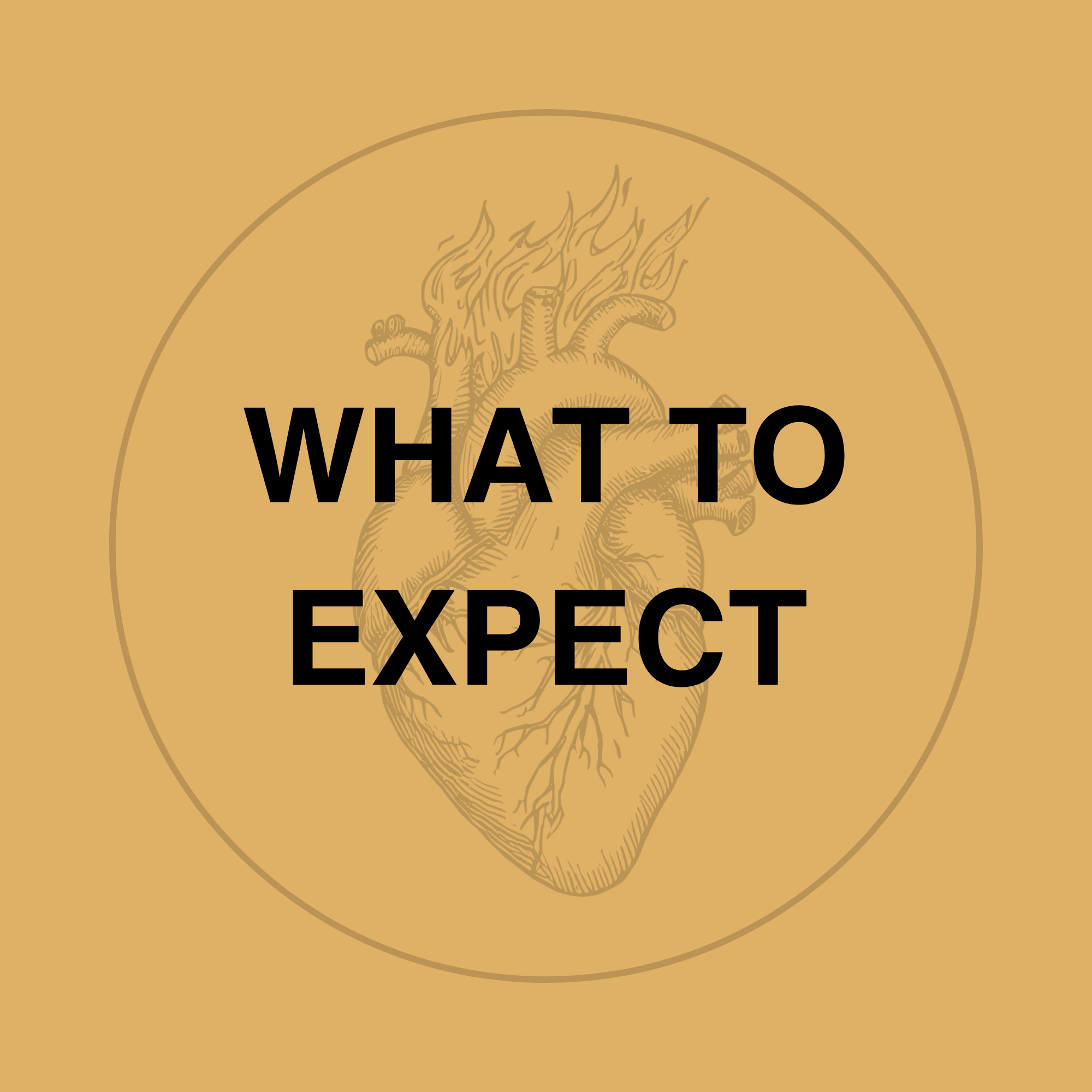 A faded anatomical heart on fire illustration inside a circle graphic with the title “what to expect"
