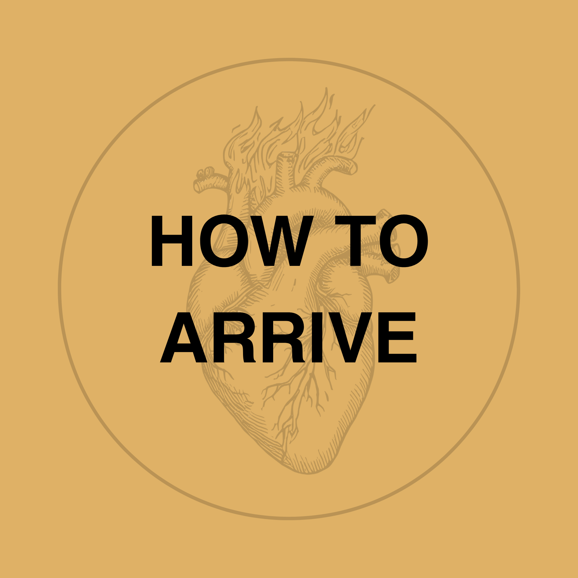 A faded anatomical heart on fire illustration inside a circle graphic with the title “how to arrive"