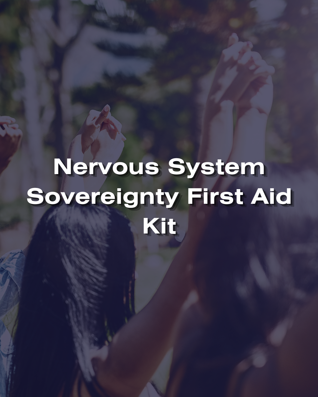 Nervous System Sovereignty First Aid Kit