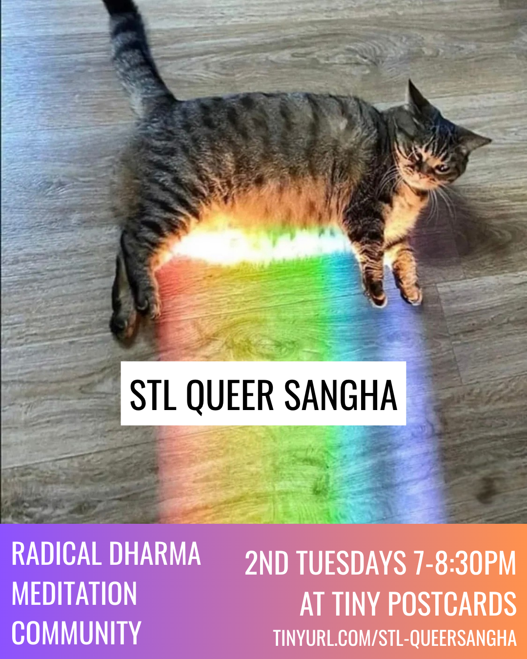 A chonky, grey tabby cat lays on their side with rainbow light emanating from their belly and the title “STL Queer Sangha” superimposed on the rainbow