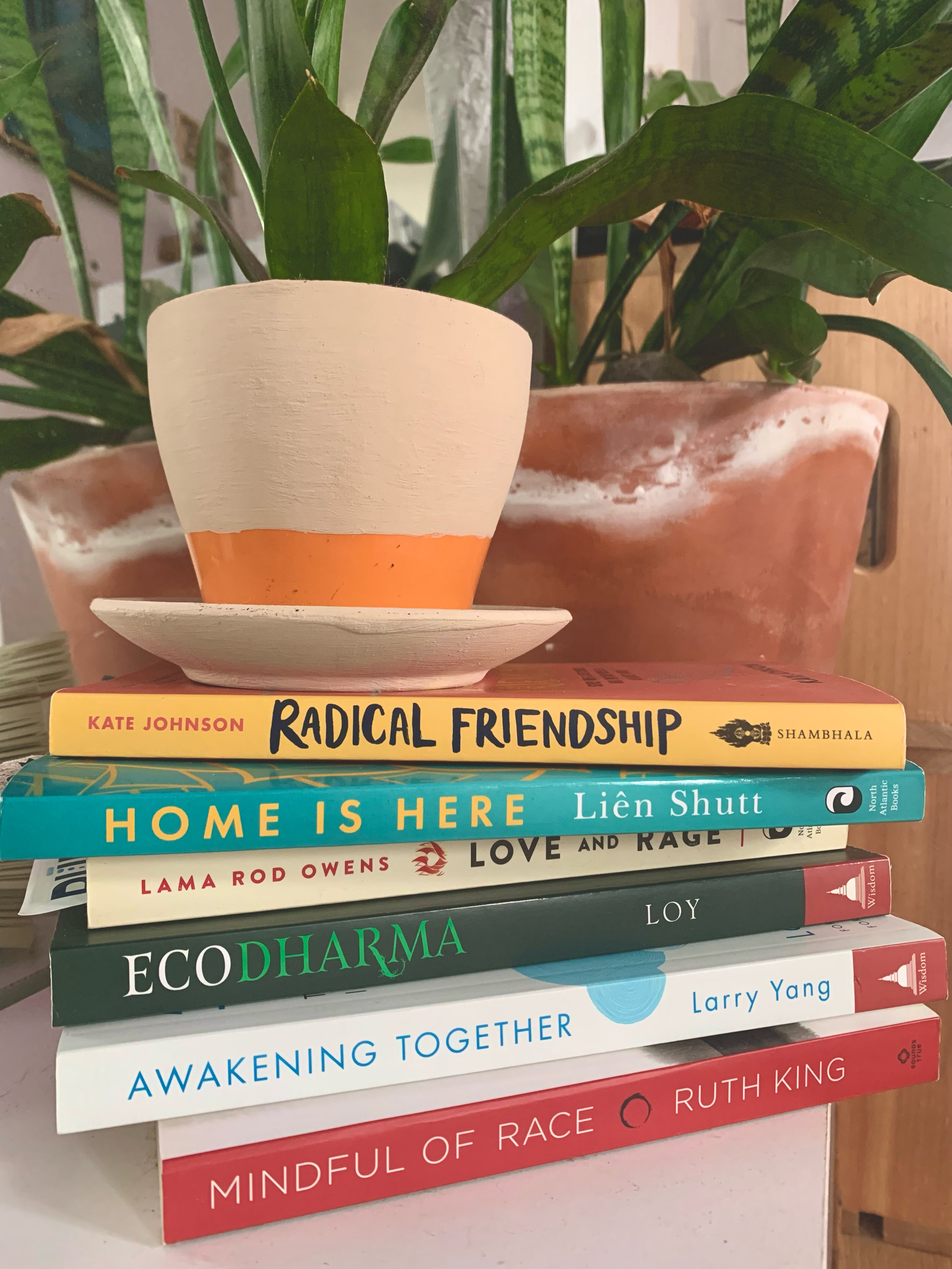 A stack of Dharma books sits in front of a snake plant in a terracotta pot and another snake plant in terracotta sits on top of the stack.