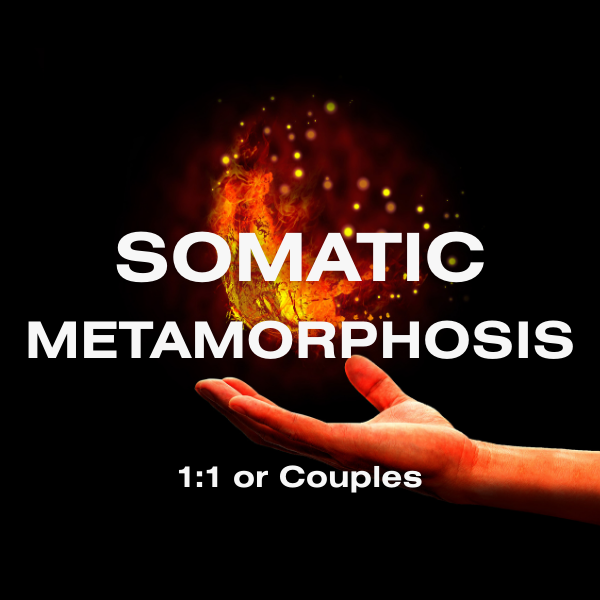 A white circle with a faded anatomical heart on fire illustration