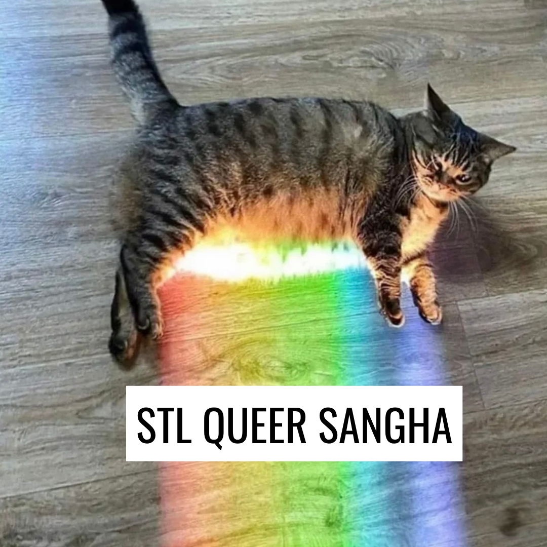 A chonky, grey tabby cat lays on their side with rainbow light emanating from their belly and the title “STL Queer Sangha” superimposed on the rainbow